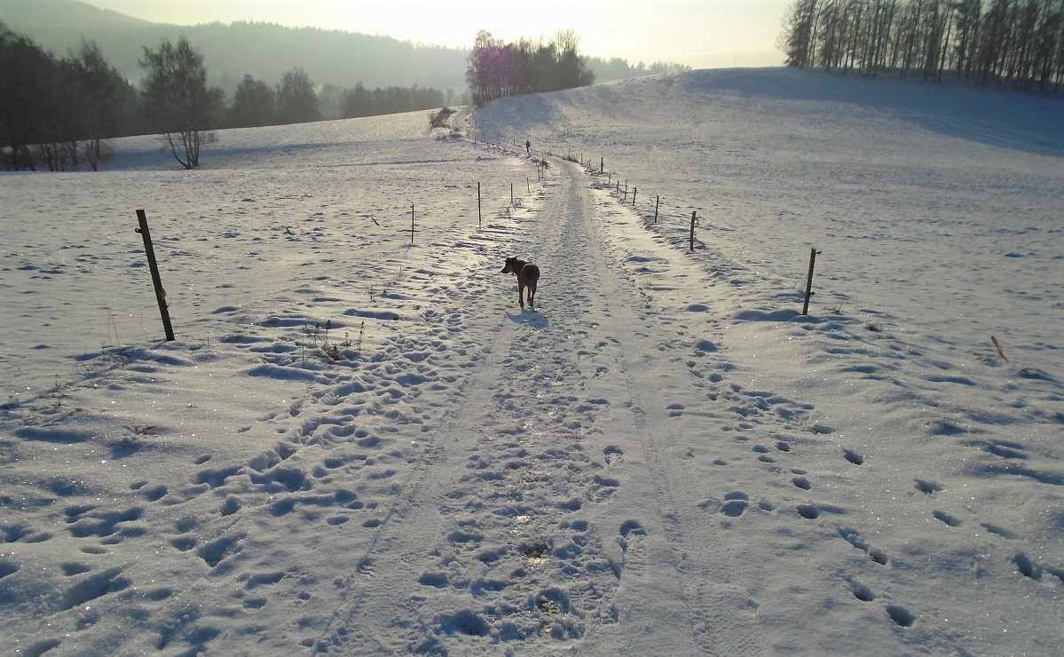 Modré nebe nad hlavou