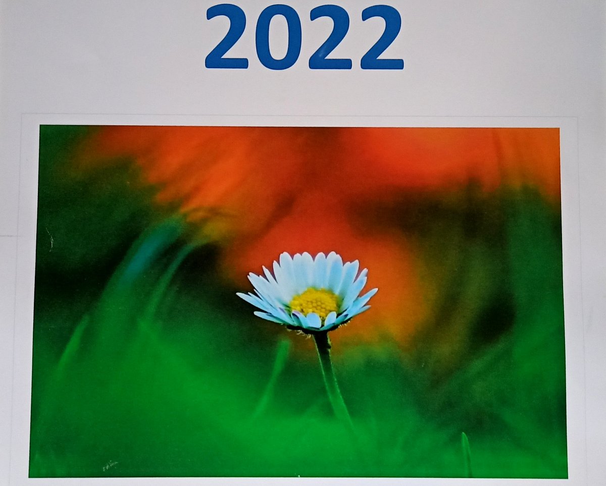 Rok 2022  obrazech - můj největší zážitek