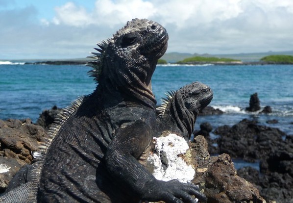 Staňte se svědky unikátní
výpravy na&nbsp;Galapágy