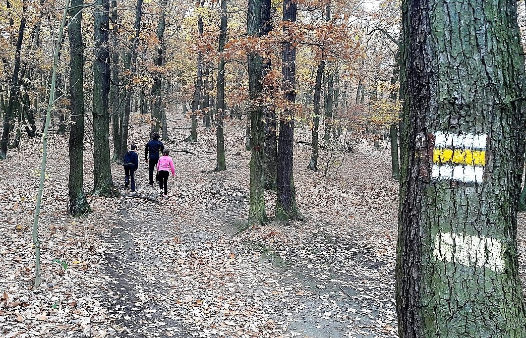 Tip na podzimní výlet: Na Zbraslav do míst, kde stálo největší keltské oppidum