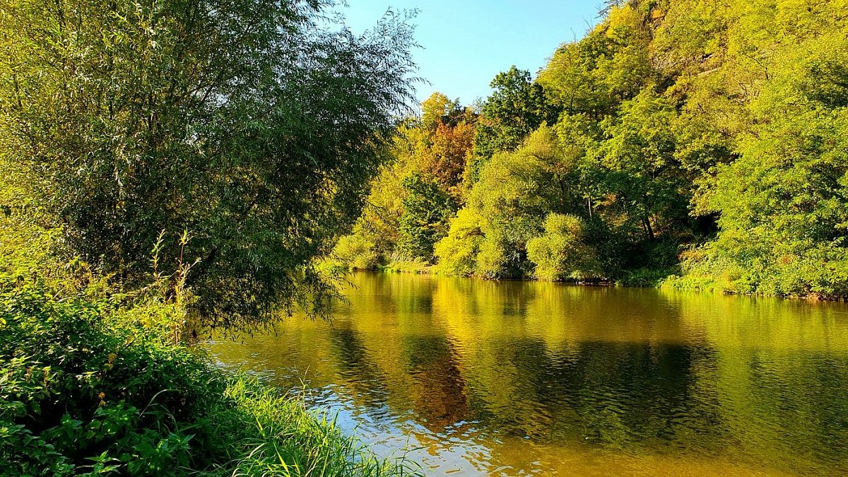 Na březích Sázavy - Zlaté řeky