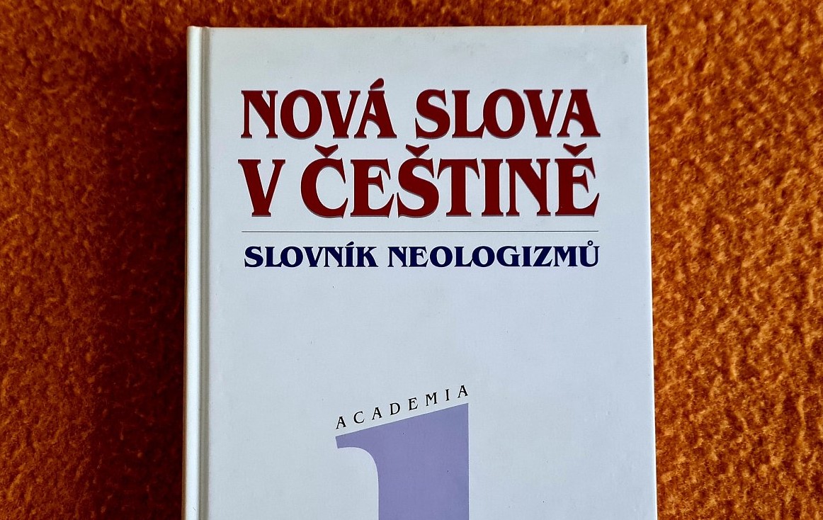 Co po mně chcete? Vůbec vám nerozumím!