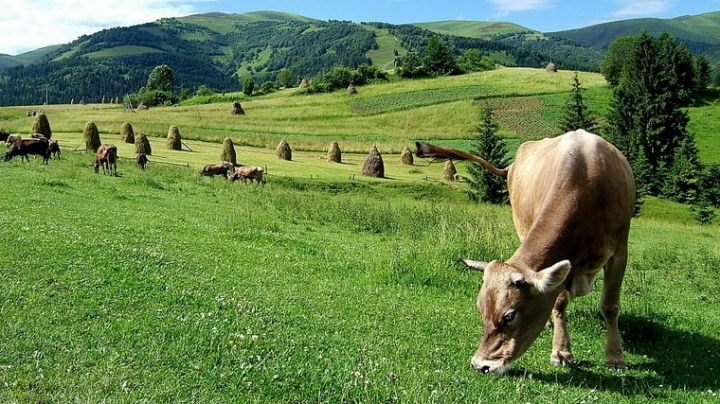 Jak jsme přišli o Podkarpatskou Rus