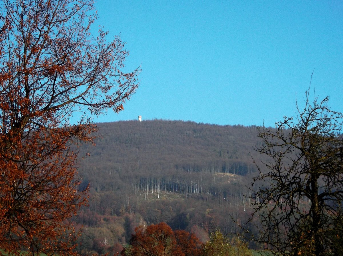 Sobotní procházka