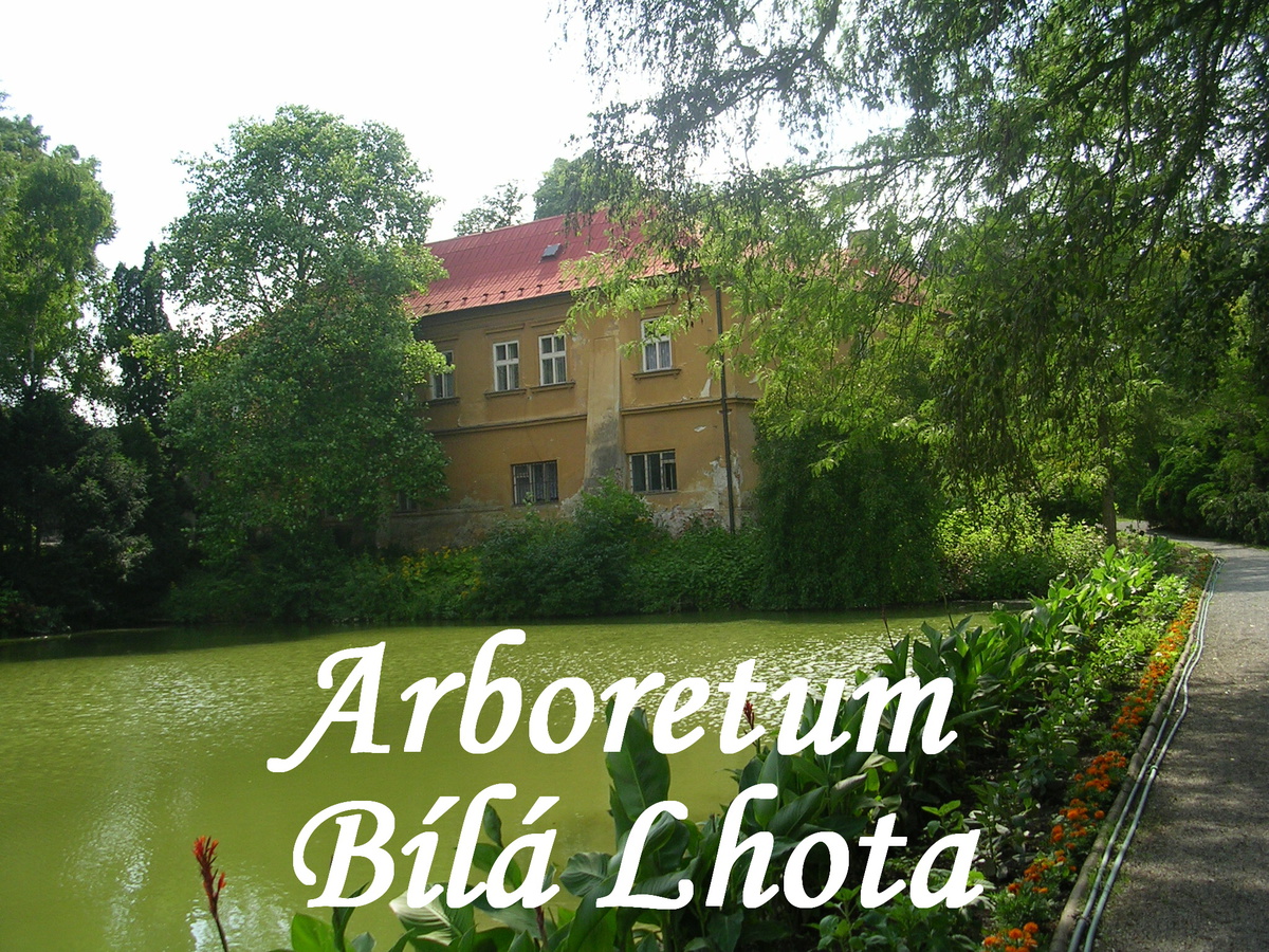 Fotoreportáž: Arboretum Bílá Lhota