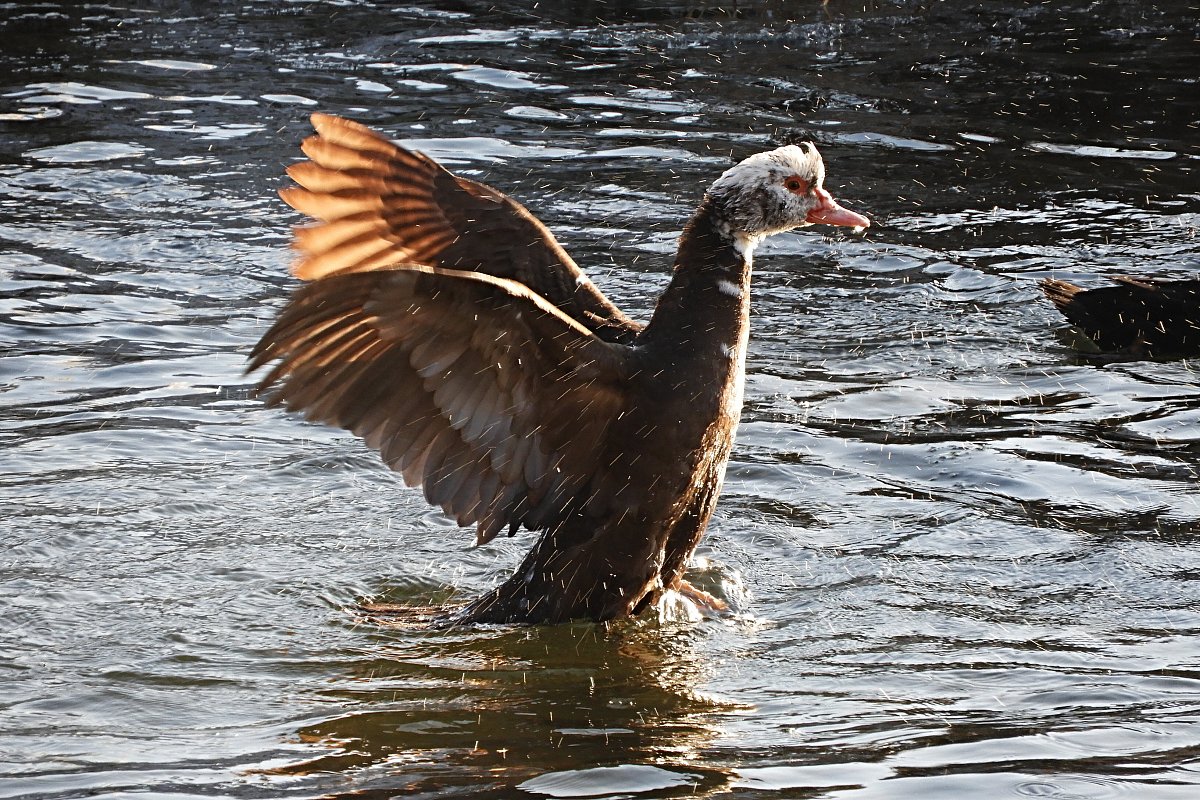 Březen 2020