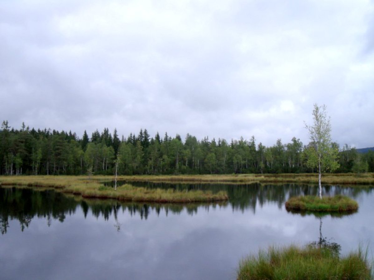 Šumava – naše milovaná II.