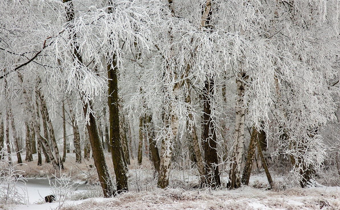 Silvestr je den, kdy počasí umí pořádně překvapit
