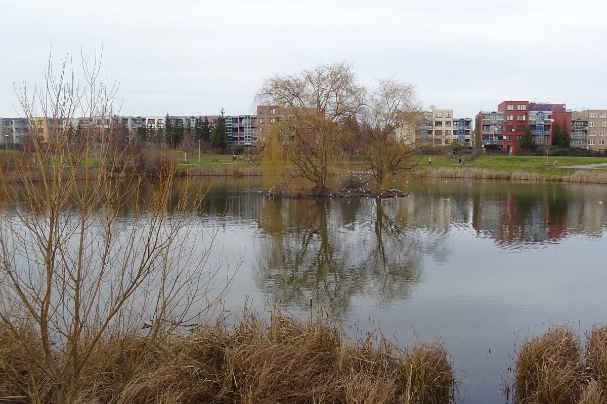 Central park, den poté