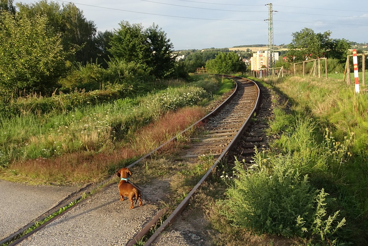 O vlacích vesele i vážně