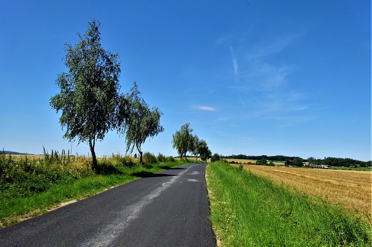 Letní aktivita – mé zkušenosti s Němci