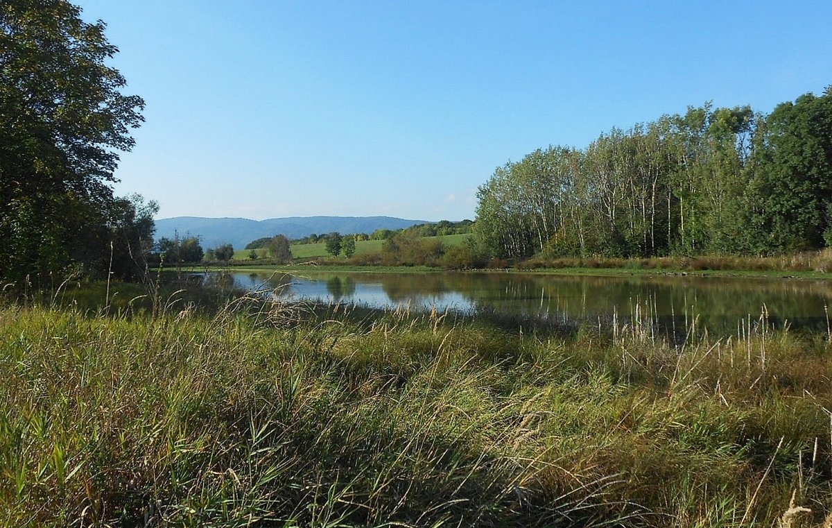 Fotoreportáž: Proměny