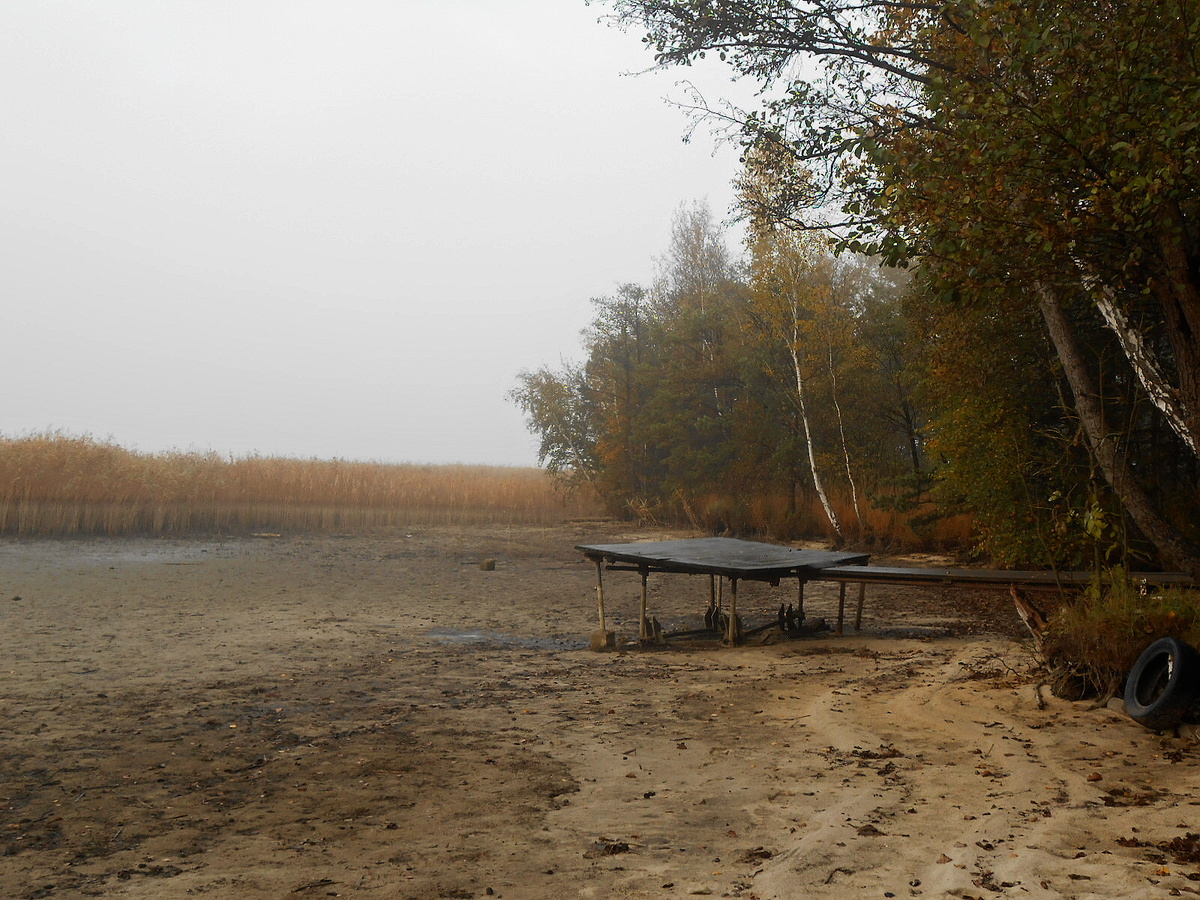 Odhalené Máchovo jezero a houby