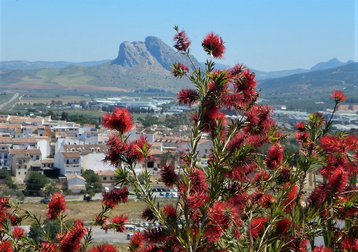 Antequera - španělské město s bohatou historií, největším počtem kostelů z celého Španělska a třemi dolmeny