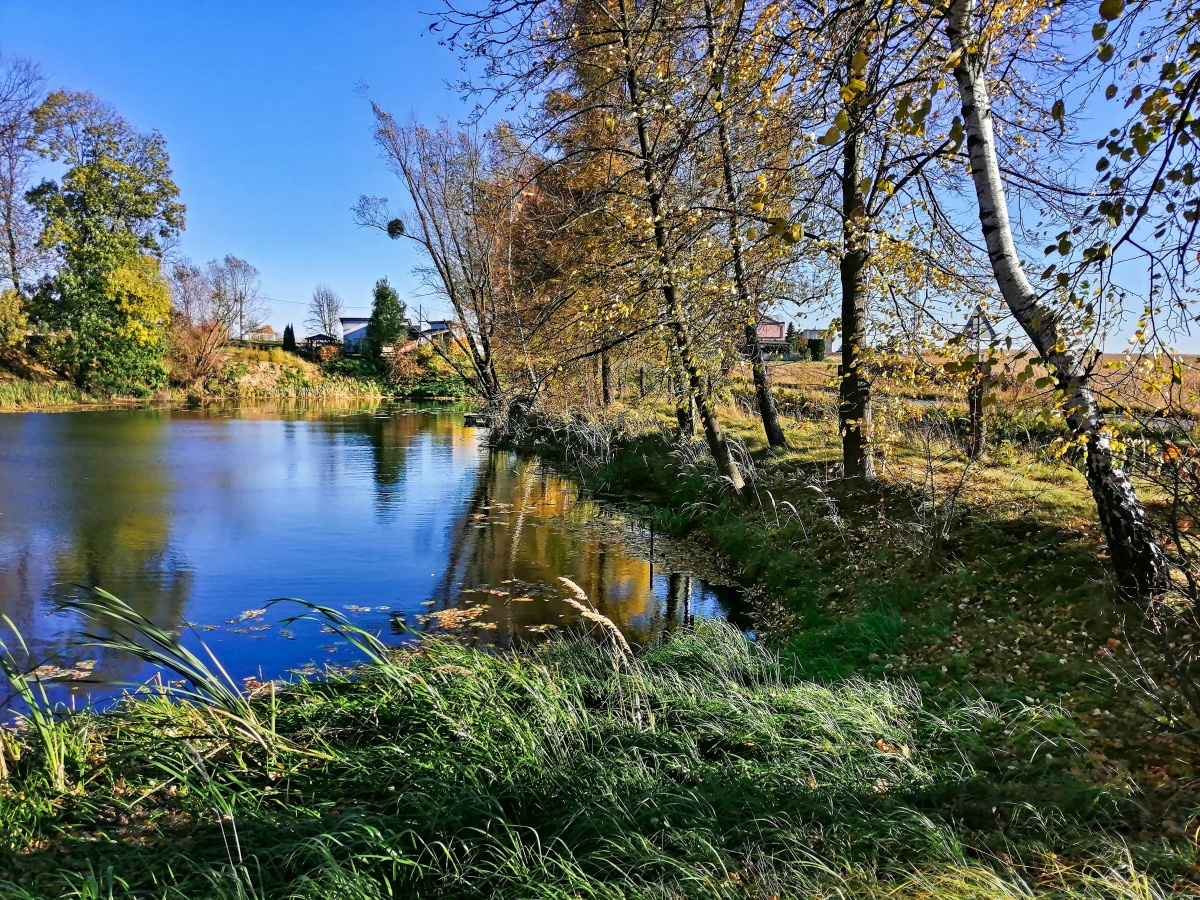 Barvy podzimu