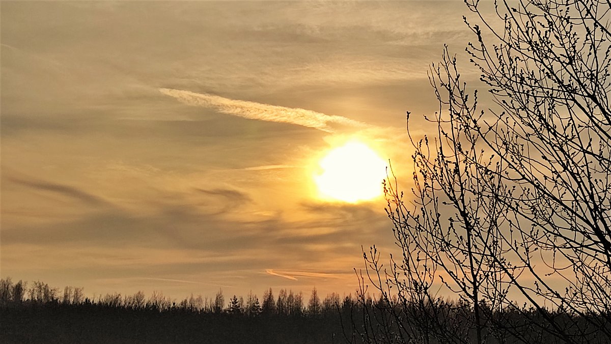 Fotoreportáž: Předjaří - doma i za humny