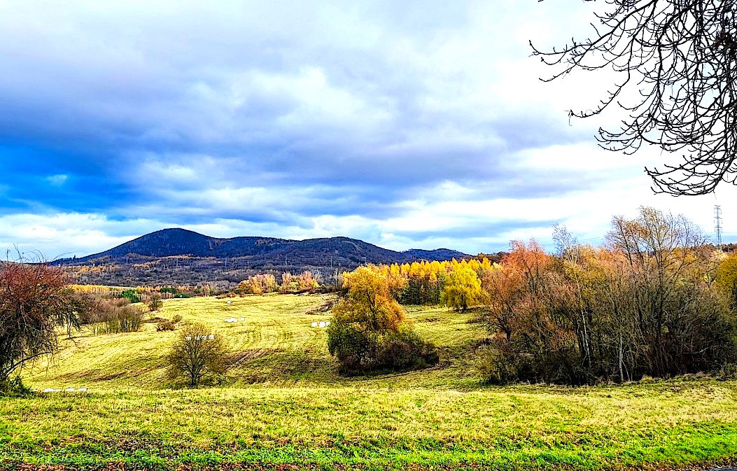 FOTO DNE 24.11.: Soňa Prachfeldová - Když vykoukne sluníčko