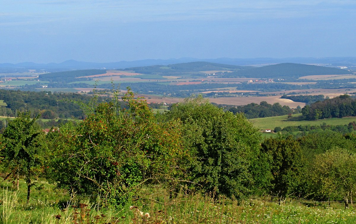 Seno a procházka