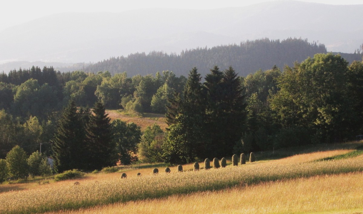 Fotoreportáž - Louky na Soláni - sečení