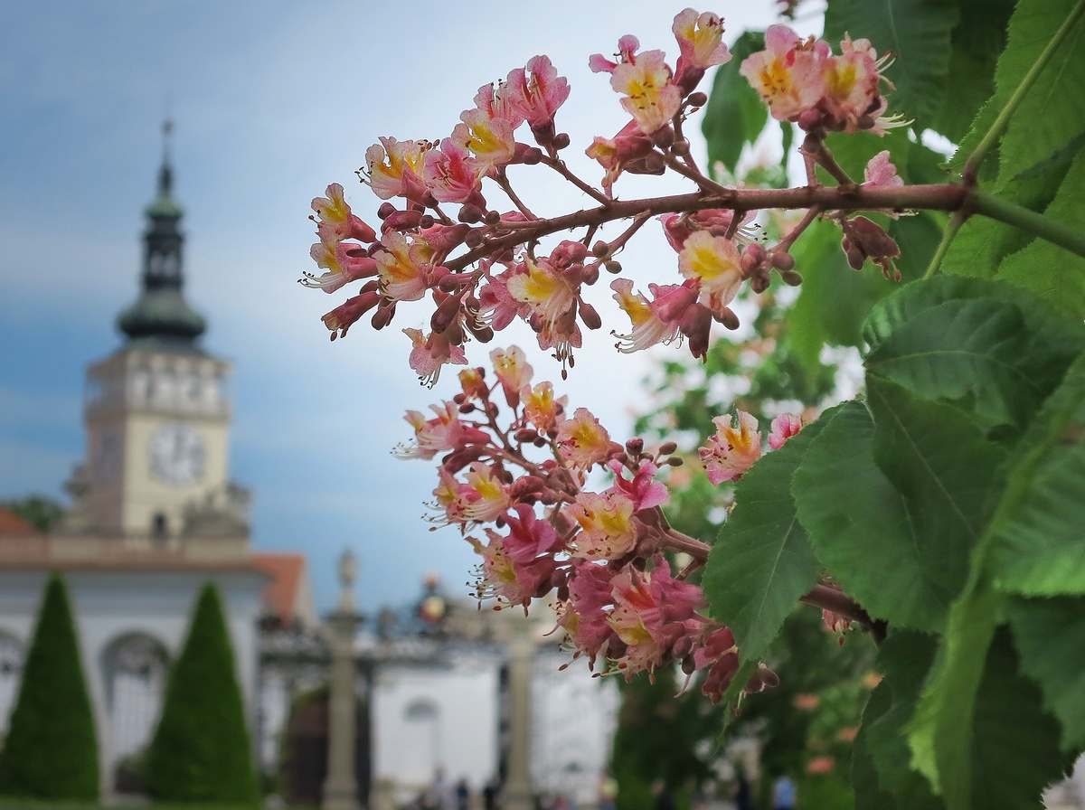 Známe všechny vítěze fotosoutěže portálu i60 "Obrázky jara"