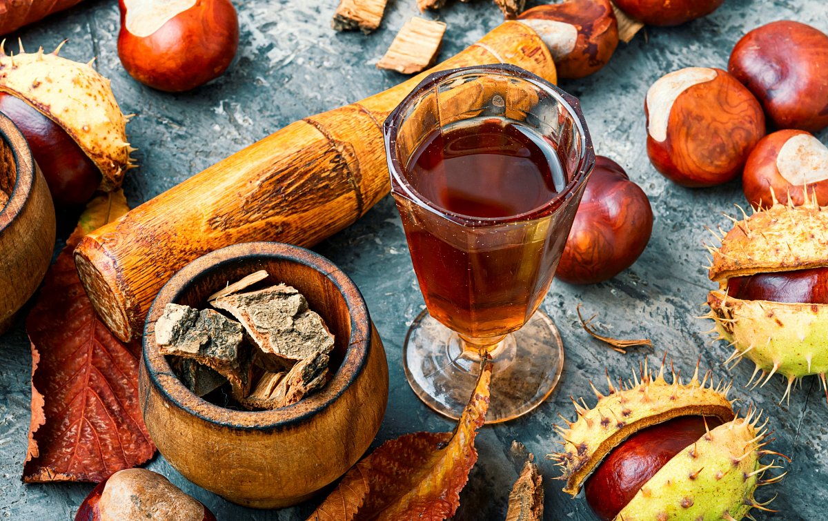 Magická síla kaštanů. Pomohou na problémy s cévami, bolestivé svaly a klouby, revma či dnu