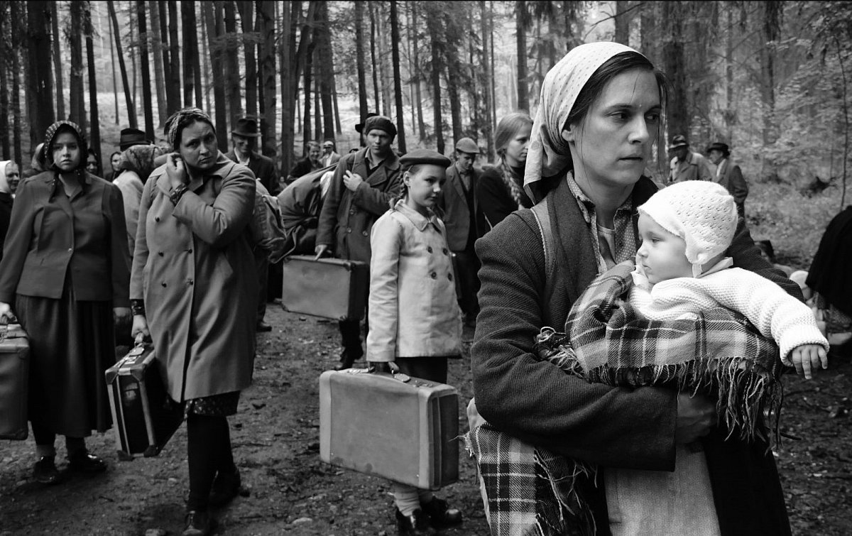 Nejvíce nominací na Českého lva mají filmy Krajina ve stínu, Havel a Šarlatán