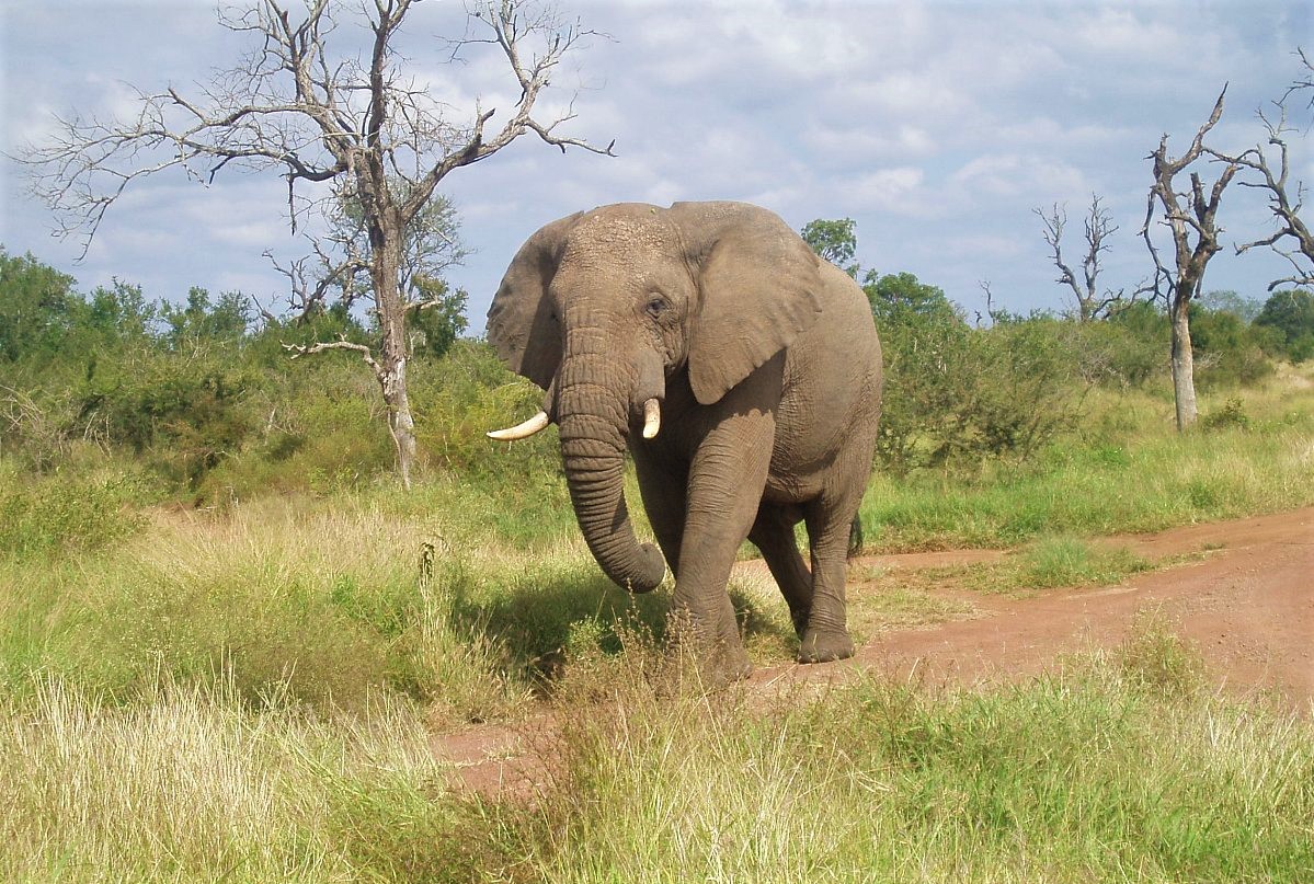 Eswatini – maličká africká země s mnoha prvenstvími