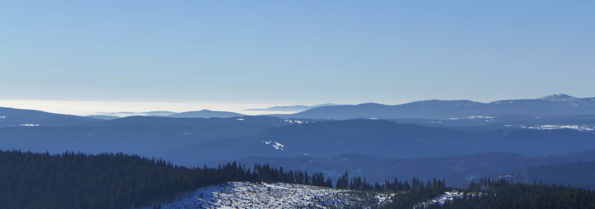 Cesta do samoty lesa (Pouhá touha)