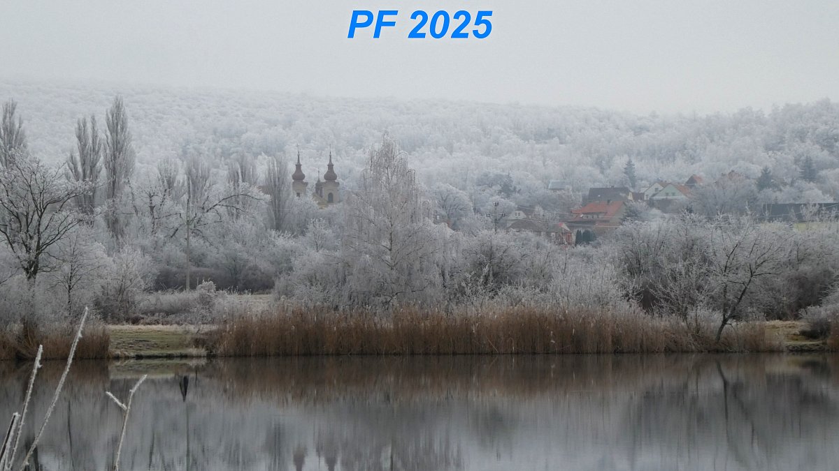 Můj zážitek roku: Jaký byl můj uplynulý rok 2024