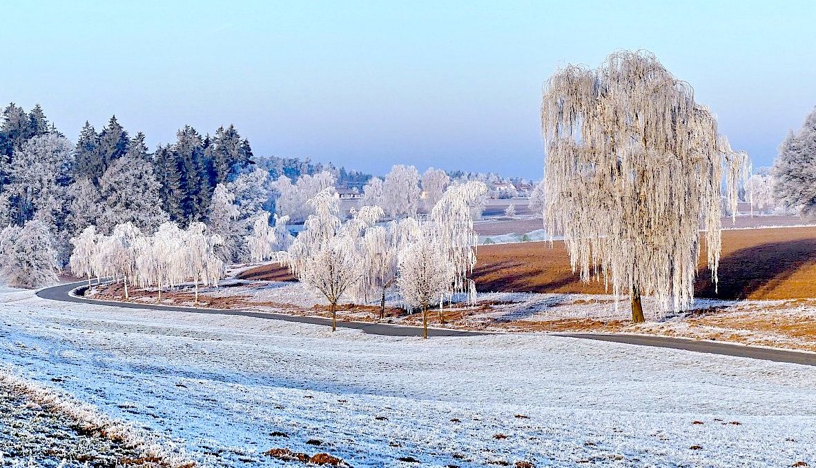 FOTO DNE 12.2.: Libuše Heulerová - Ostře doprava