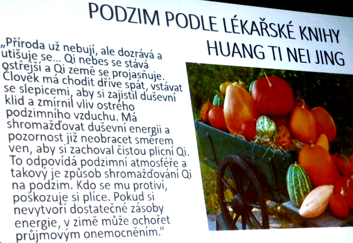 Podzim z hlediska tradiční čínské medicíny