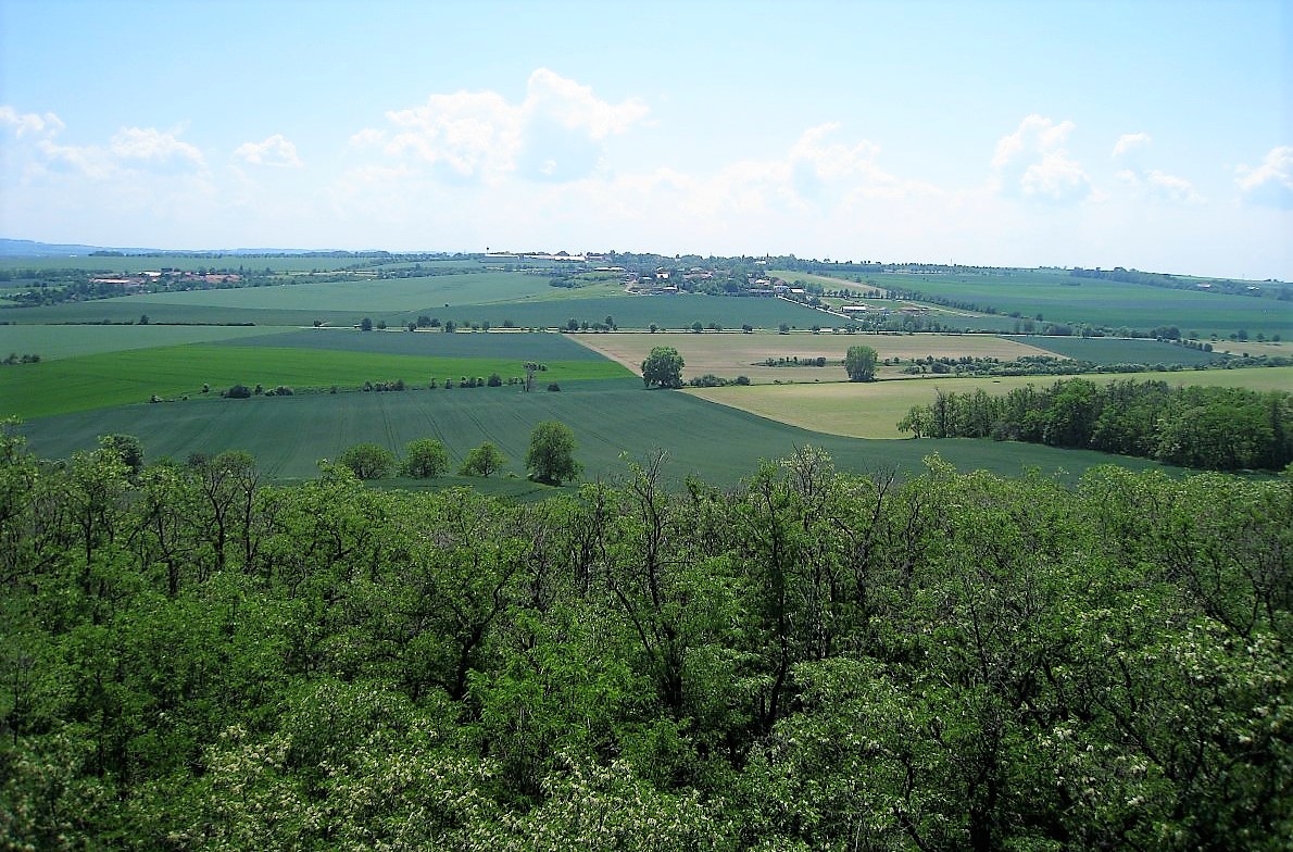 Vyhlídka na vrchu Bedřichov