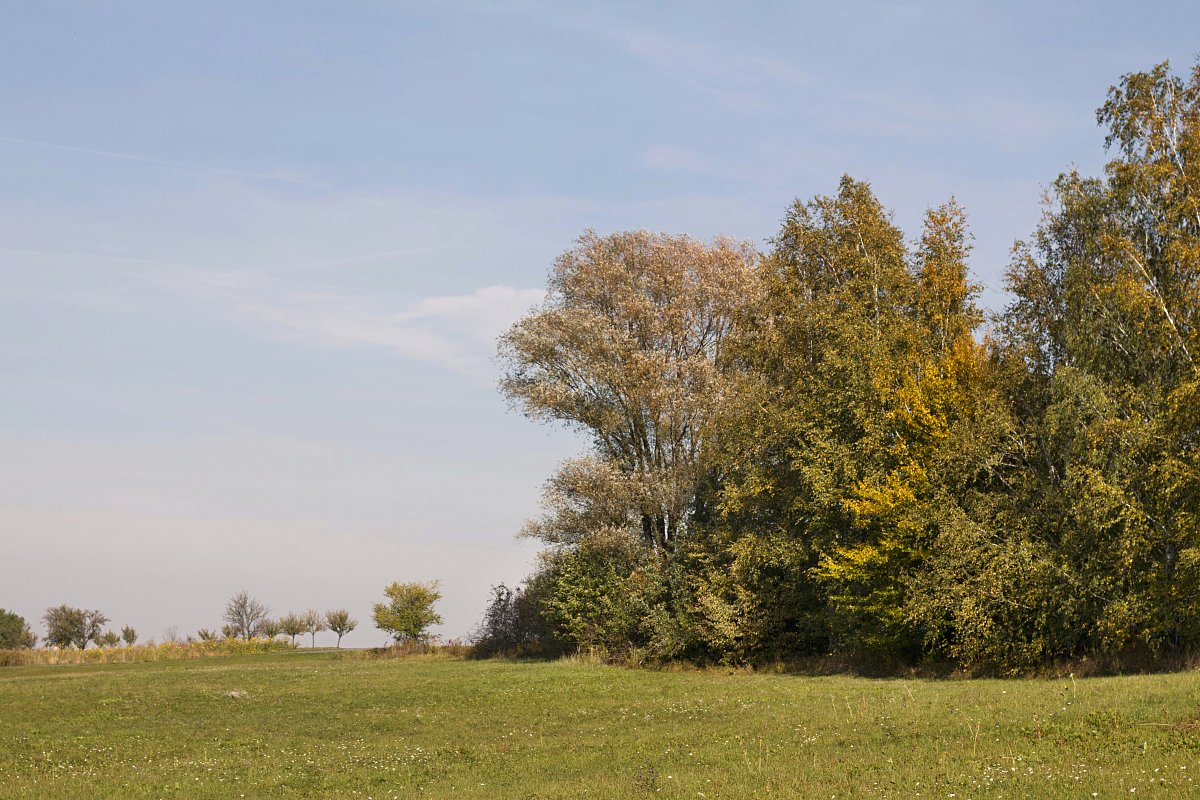 Fotoreportáž: Autovýlet