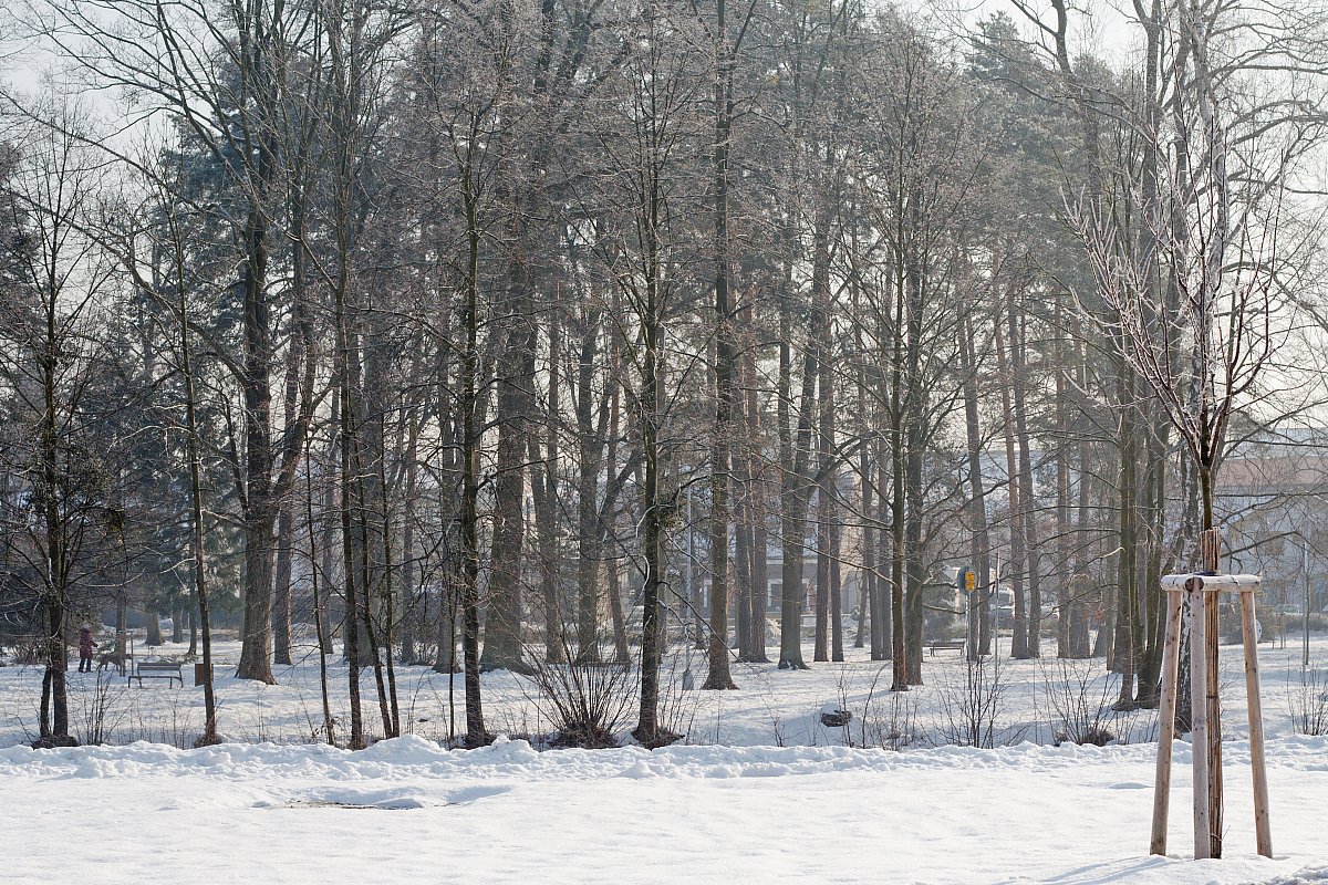 Fotoreportáž: Letošní zima