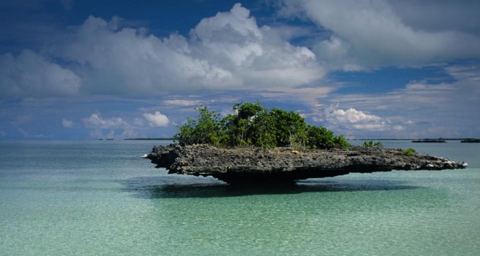 Český film Aldabra míří
do náruče studia Disney