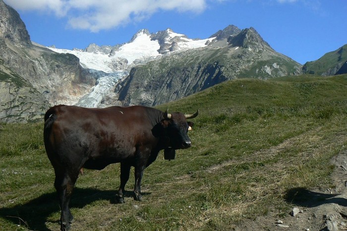 Treking kolem Mt. Blanc mohou zvládnout i senioři