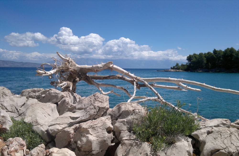 Další výlet, tentokrát
na chorvatský Hvar