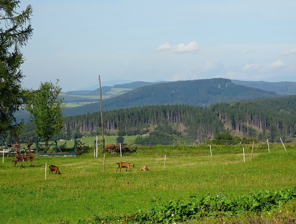 Můj letošní nejsilnější zážitek s i60 - chytrolín