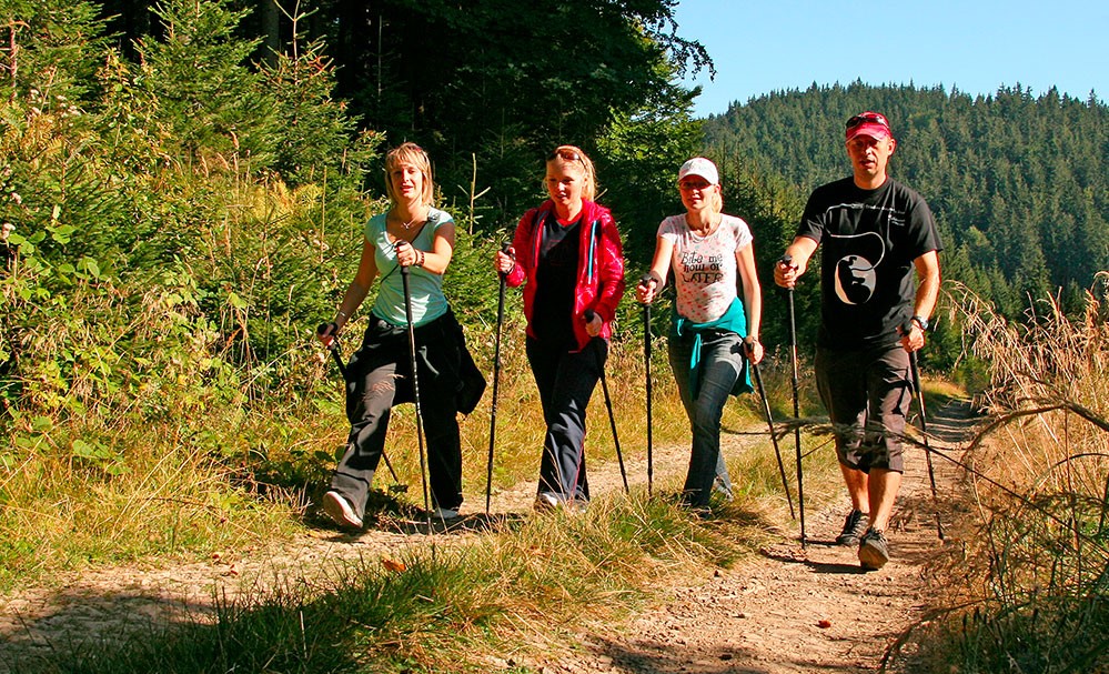 Dobře zvládnutý nordic walking je pro hubnutí lepší než běh