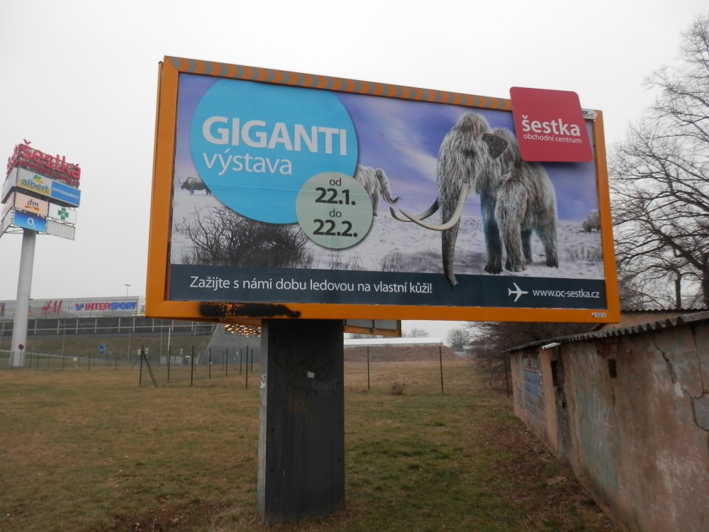 Sobota mezi giganty