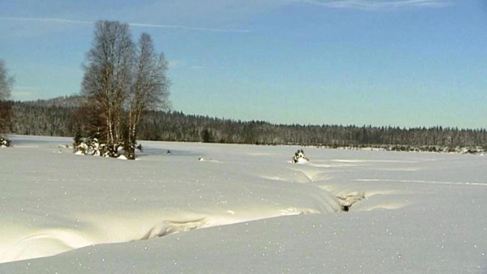 Ve střední Evropě nenajdete 
větší lesy než má Šumava