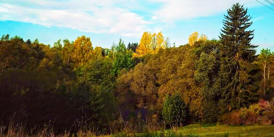 Nedělní dopoledne