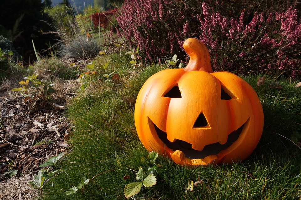 Halloween nebo Dušičky?