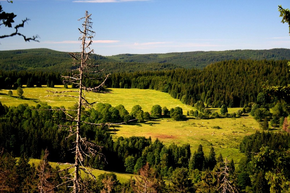 Turisté na Šumavě mají
dvě nové naučné stezky