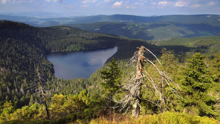 Šumava má nové rozhledny. 
Lákají zejména teď na&nbsp;podzim