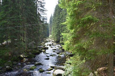 00-sumava.jpg