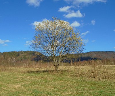 Z té sobotní nepohody, vydám se dnes do přírody..