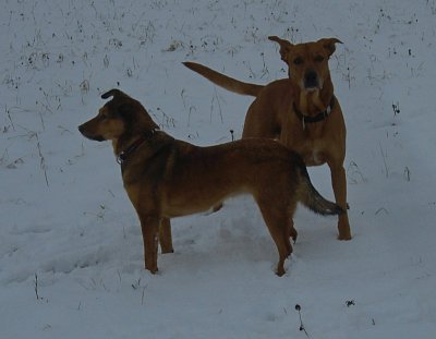 Ještě jedna.