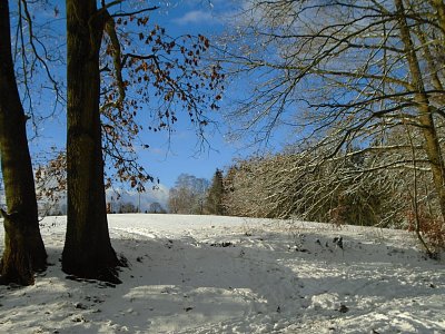 Hezký výhled