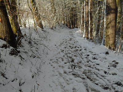 Cestička k rybníkům